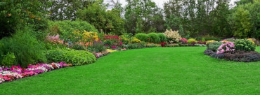 How Great Landscaping Can Improve the Image of Your Business