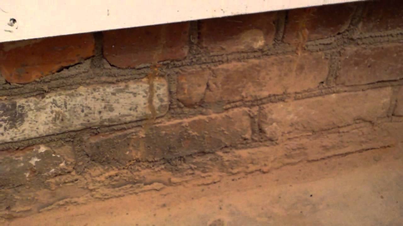 Does Your Home Have Termites? What Can You Do?