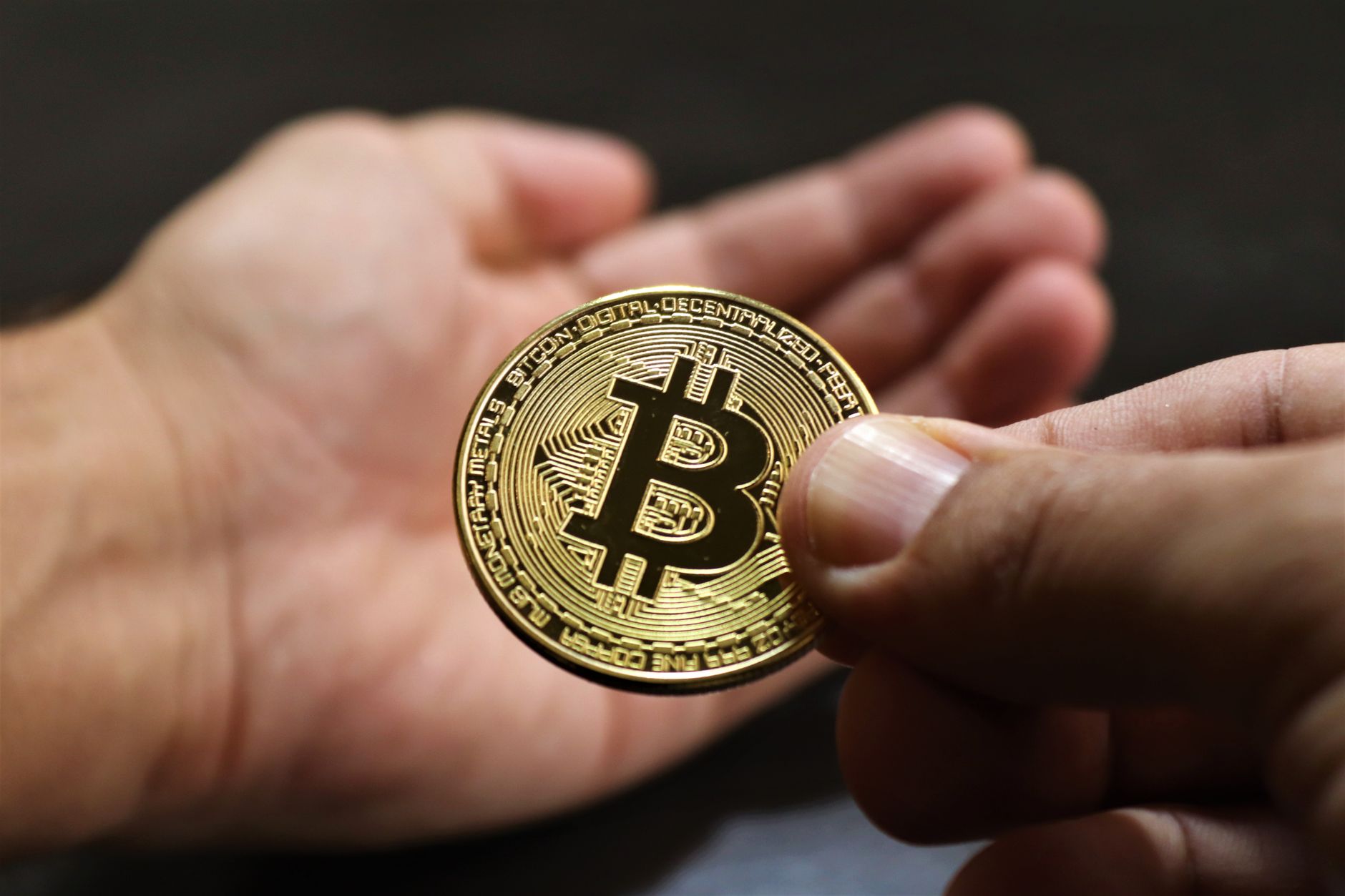 Is Bitcoin the Tulip of the 21st Century?