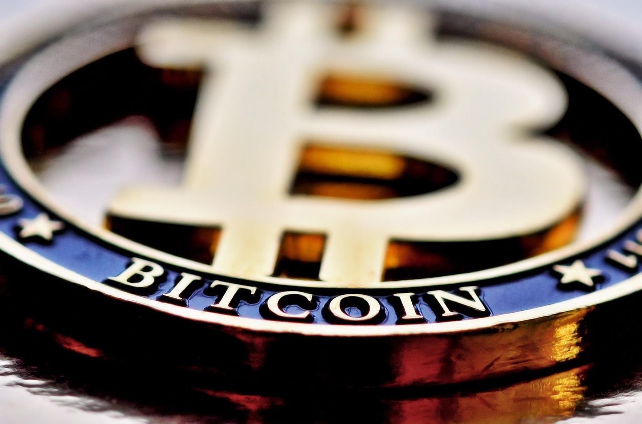 The Bitcoin Cryptocurrency and Others Like It