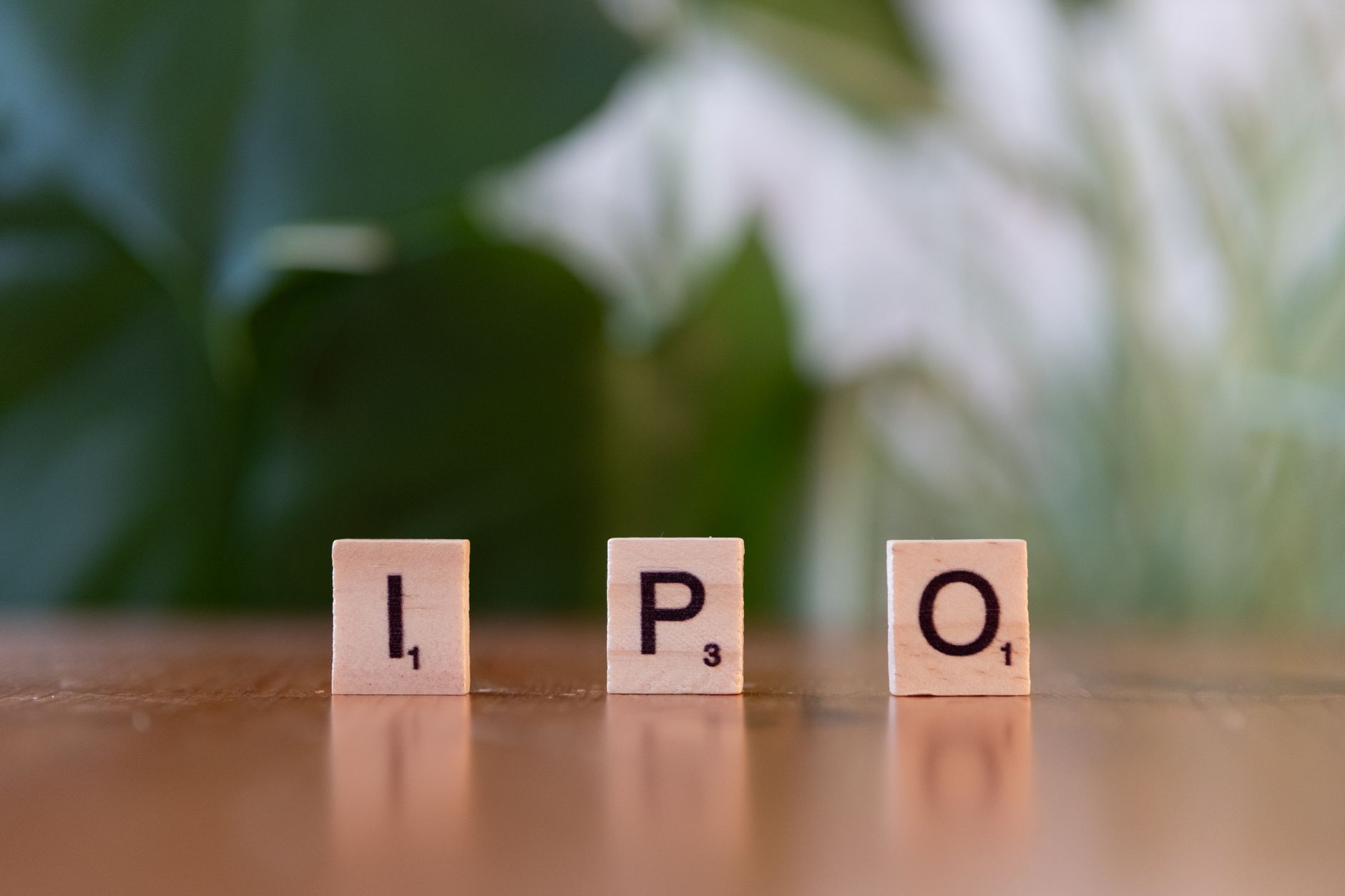 NSE IPO Opening: Best Insights on Growth and Valuation